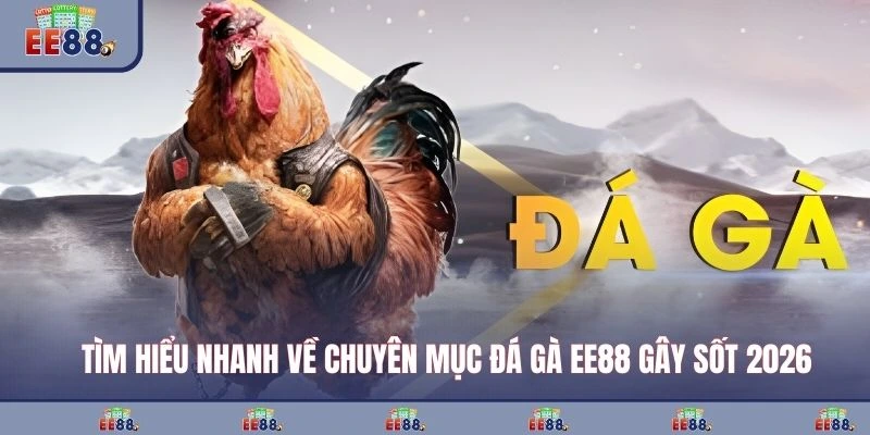 Tìm hiểu nhanh về chuyên mục đá gà EE88 gây sốt 2026